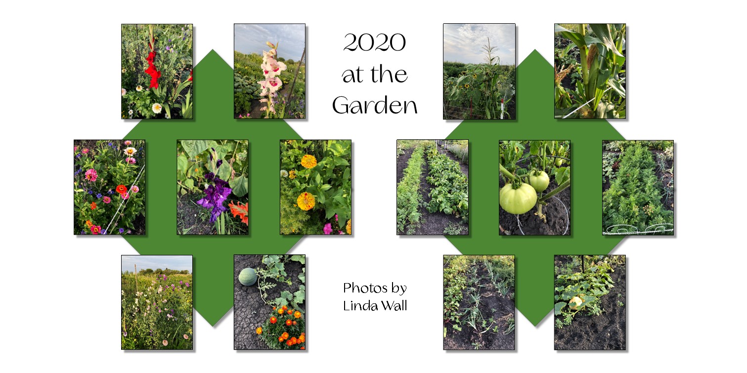 /img/garden6.jpg