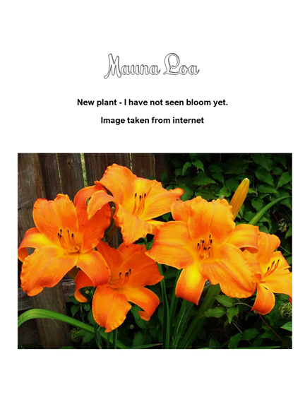/img/mna_loa_r.jpg
