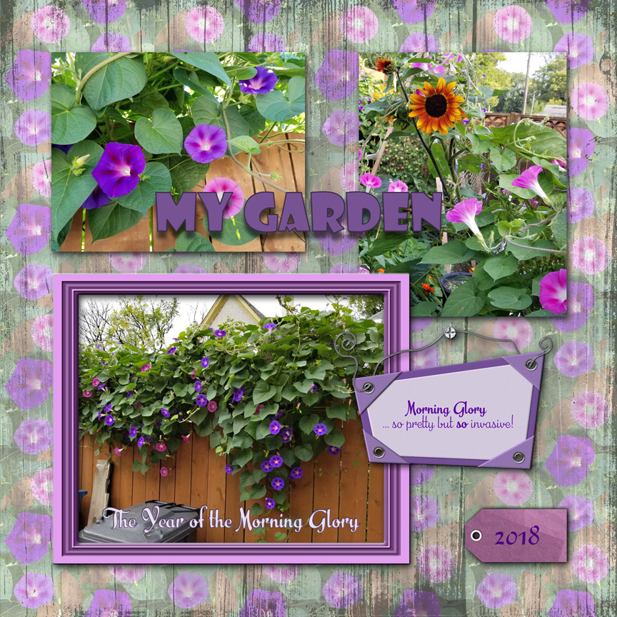 /img/mygarden2018.jpg