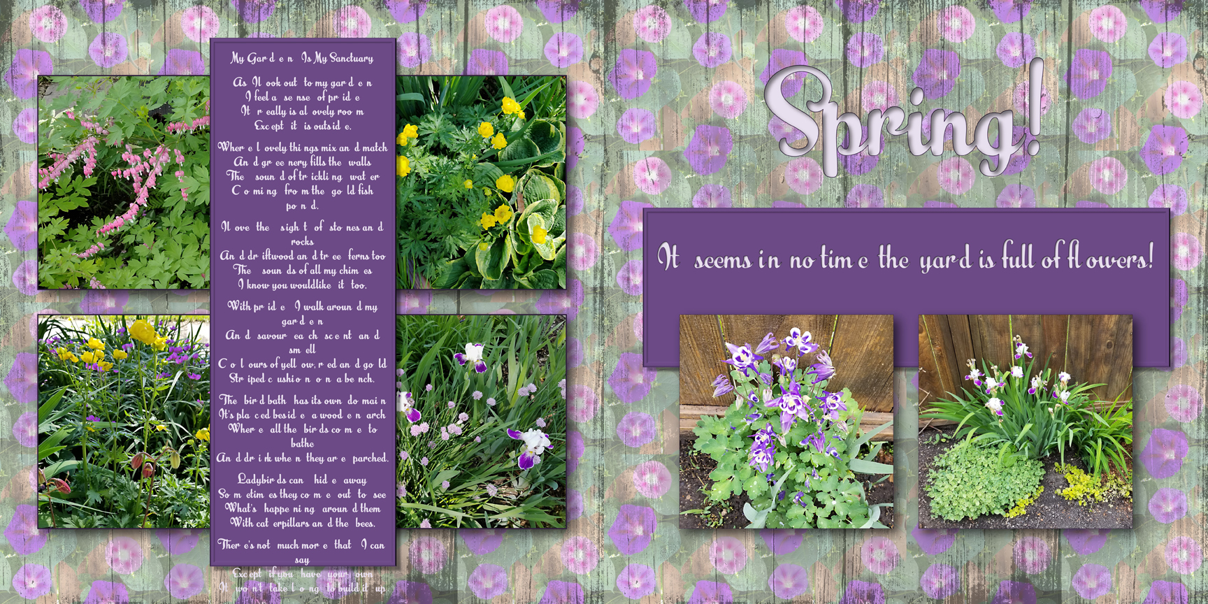 /img/mygarden2018_3.jpg