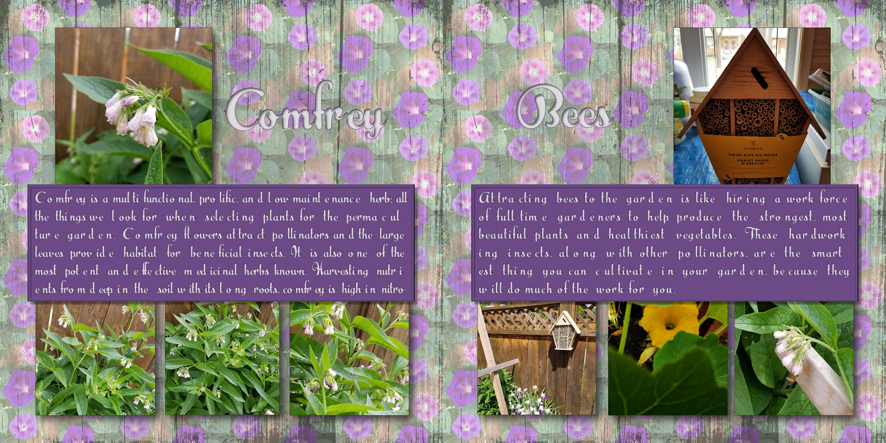 /img/mygarden2018_7.jpg