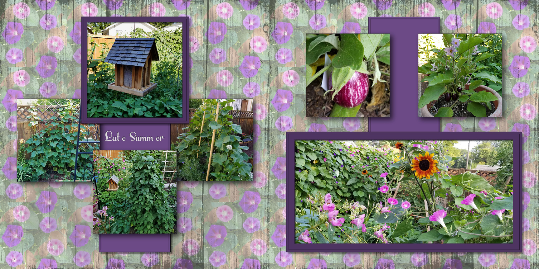 /img/mygarden2018_8.jpg