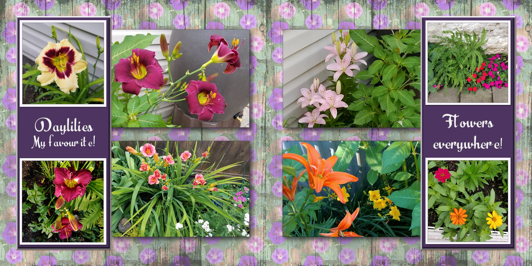 /img/mygarden2018_9.jpg